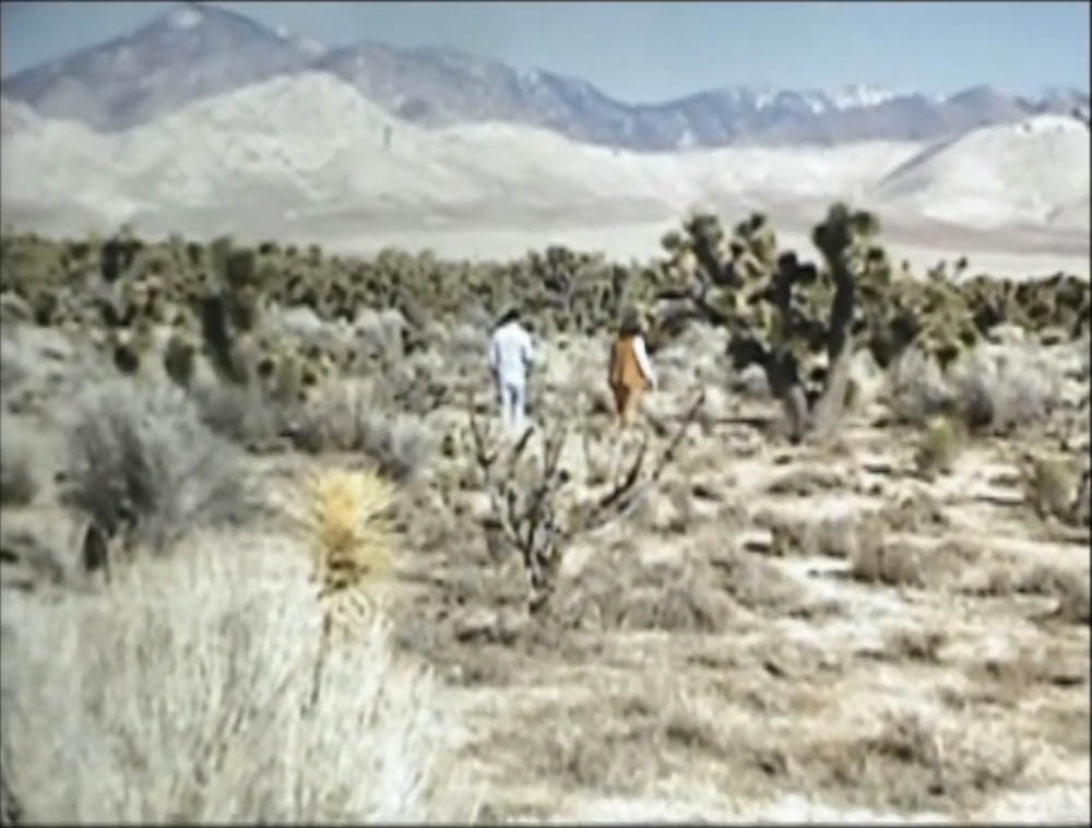 abbie and floyd at joshua tree