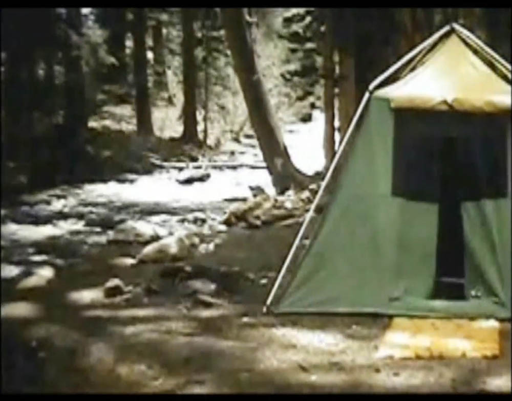 camping owens valley