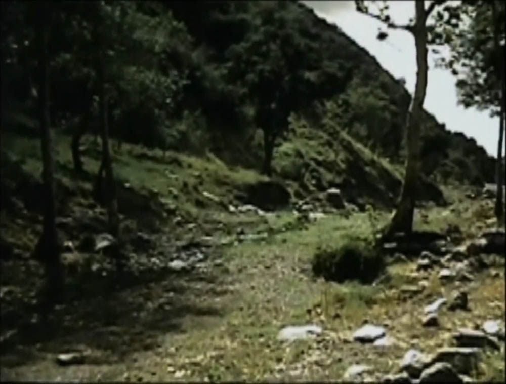 camping owens valley