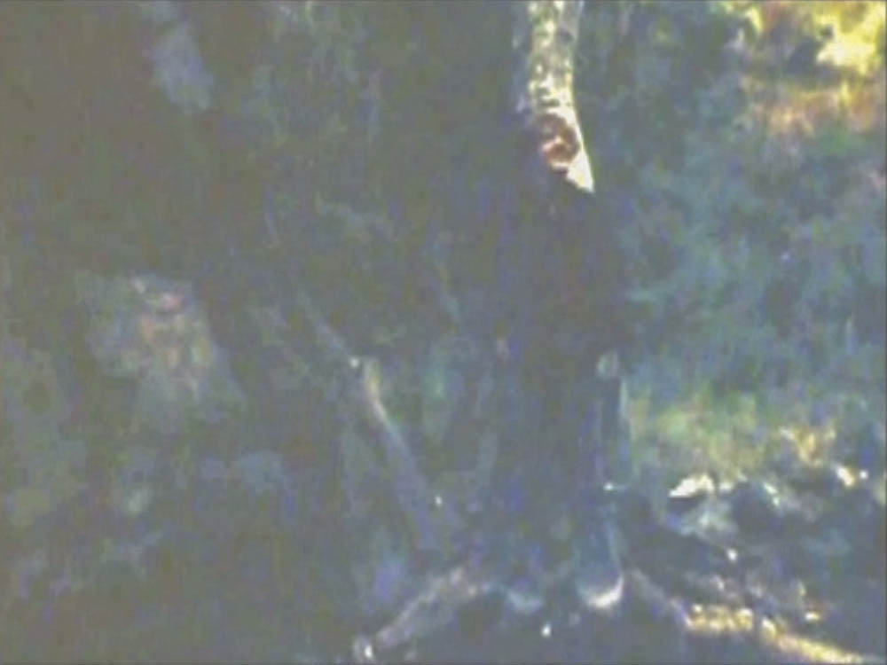 camping owens valley