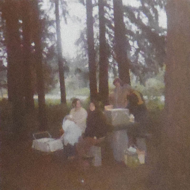 noah abbie jan dennis tom picnic portland