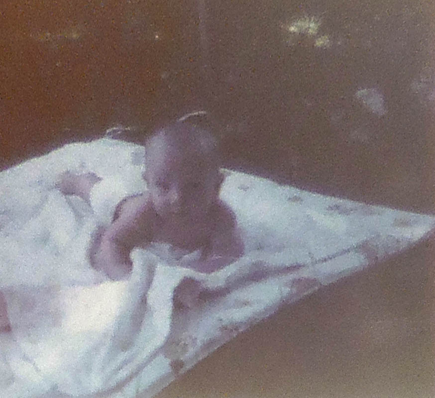 noah picnic portland