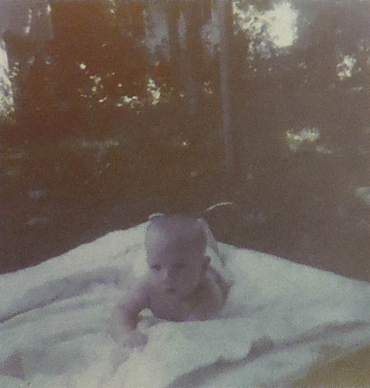 noah picnic portland