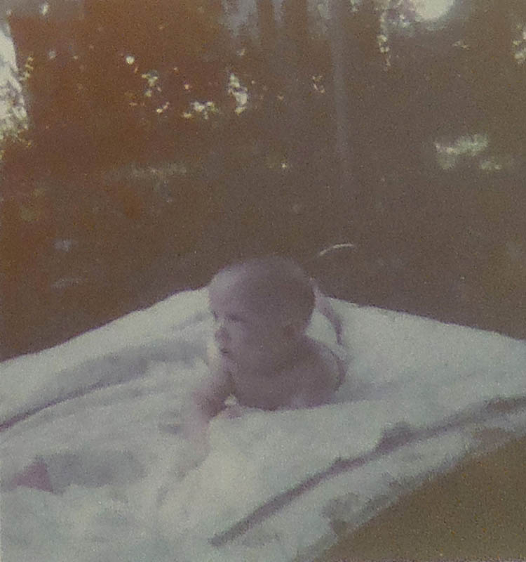 noah picnic portland