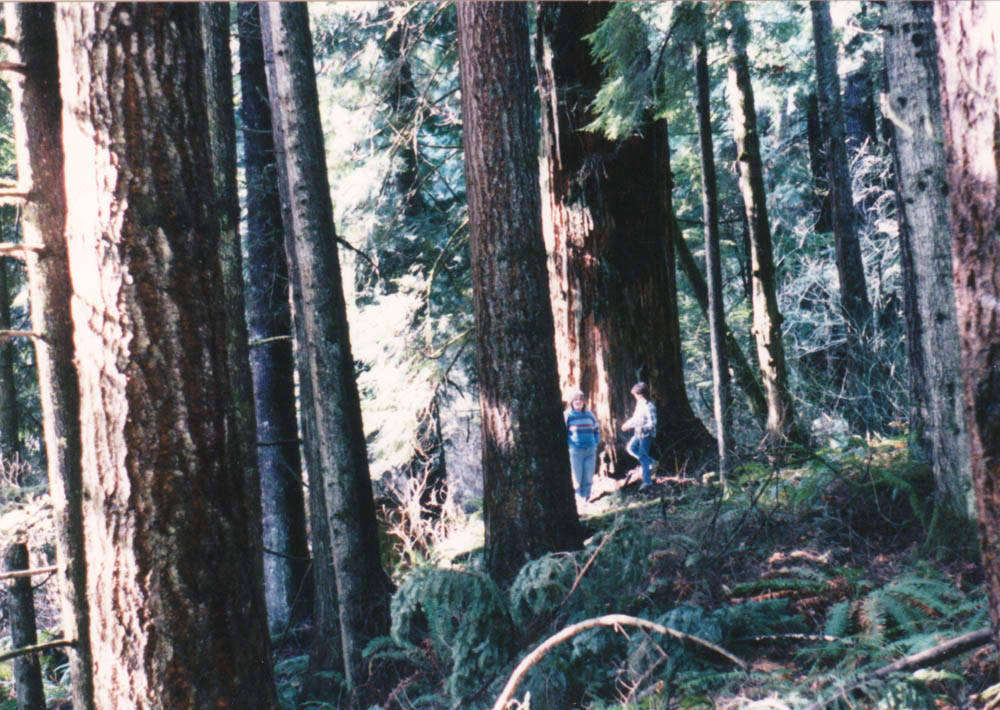 abbie and sarah at lornas