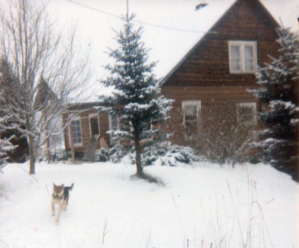 jenny at marble valley