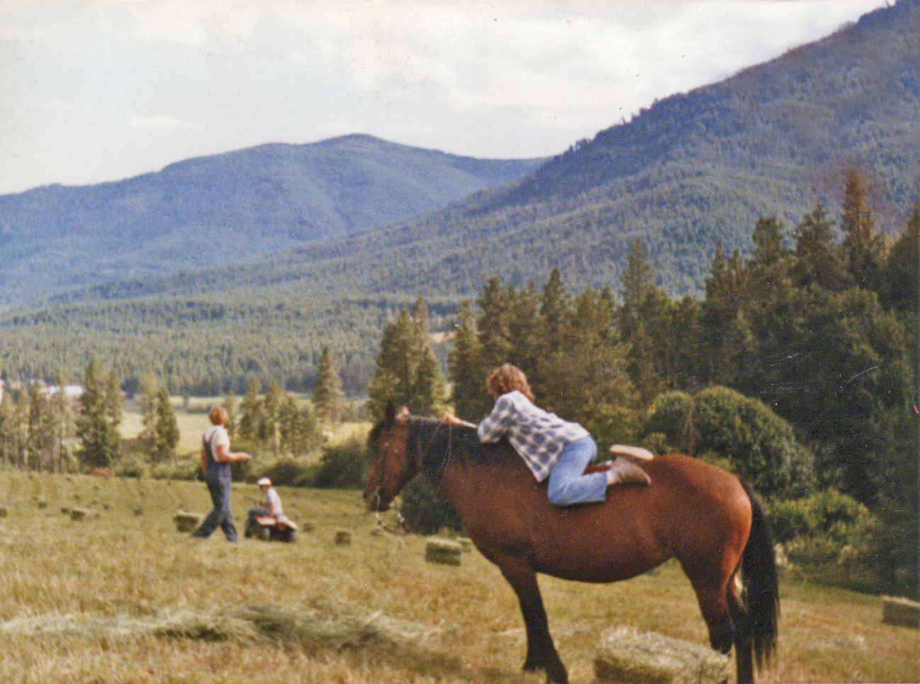 counting bales dennis noah sarah bonnie
