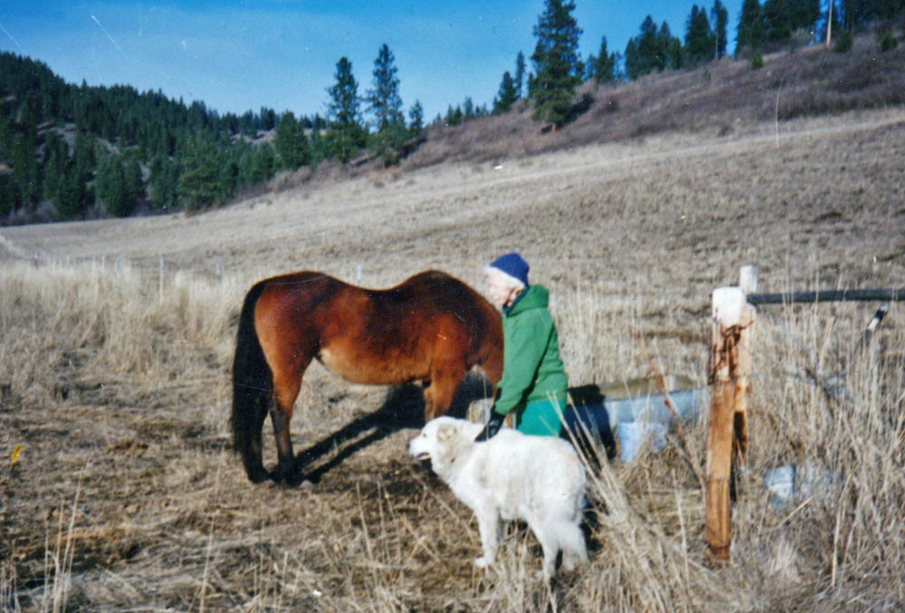 bonnie snowball lorna