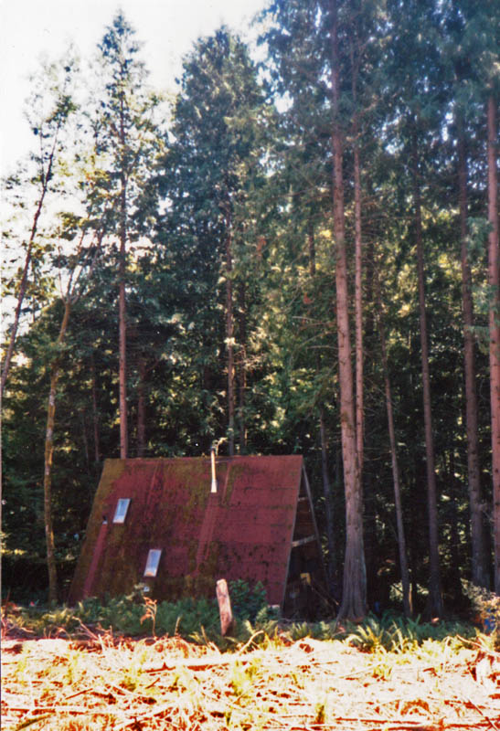 lornas cabin from clear cut