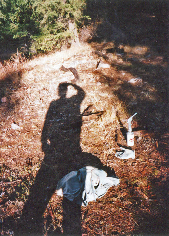 dennis timber marking