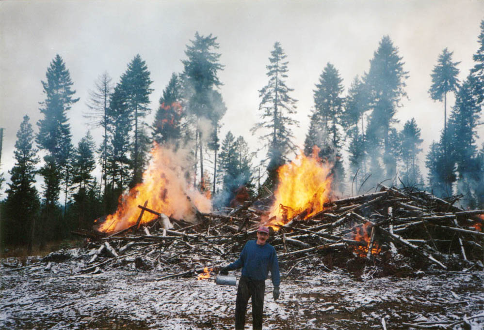 dennis burning piles