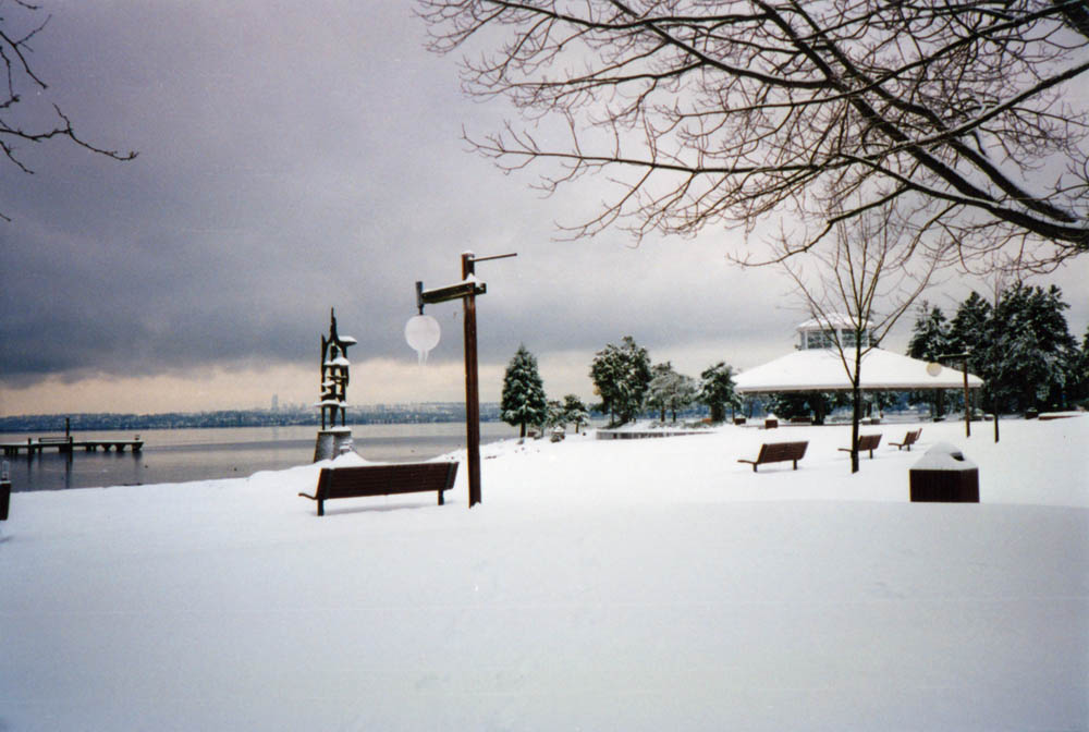snow in kirkland