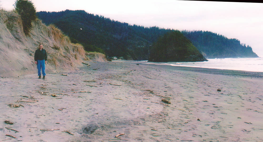 dennis storm erosion neskowin