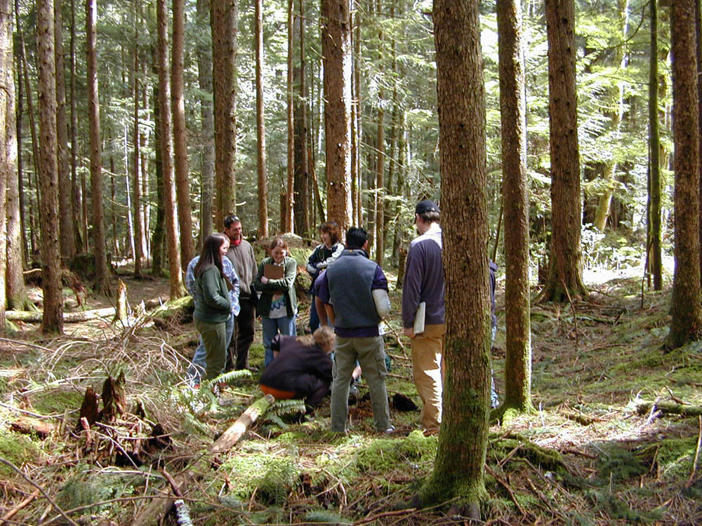 darlene zabowski soils field trip uw