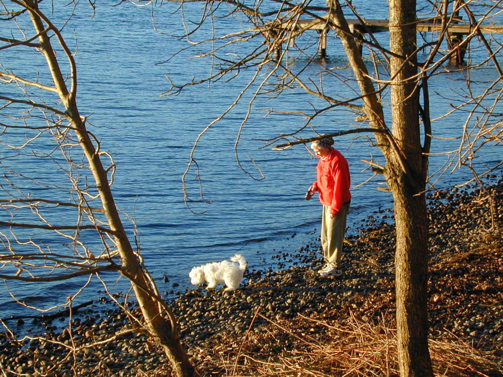 stef and alfie in kirkland