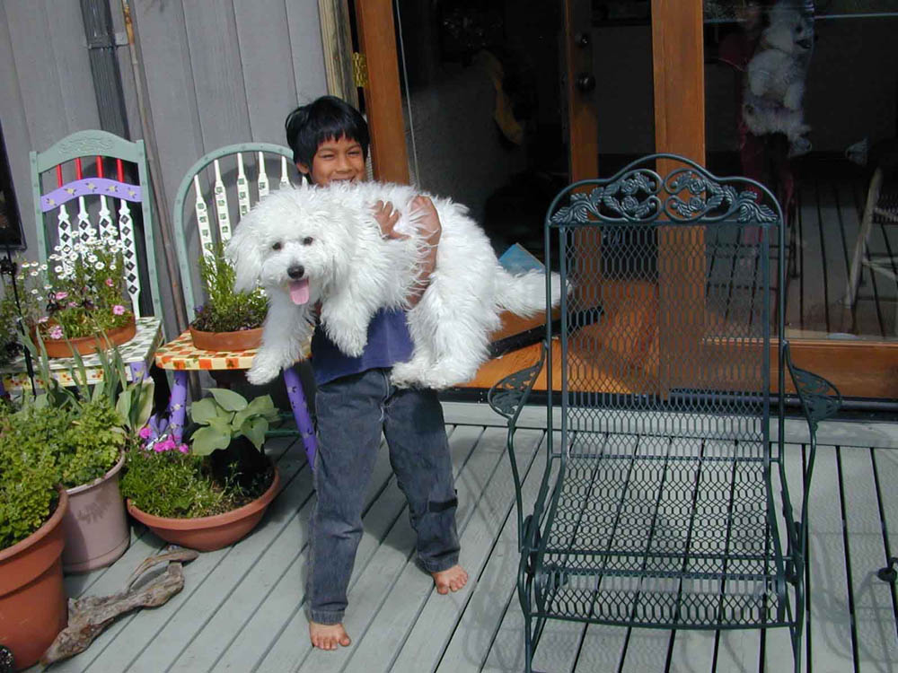 alfie and .. witters