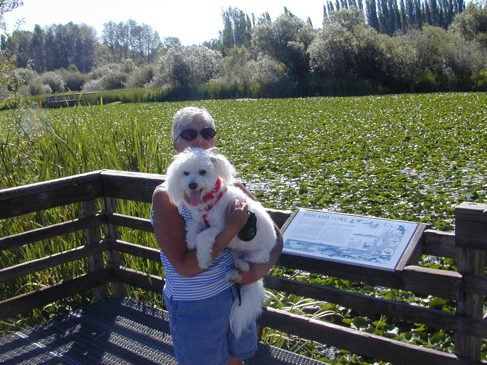 stef and alfie juanita bay