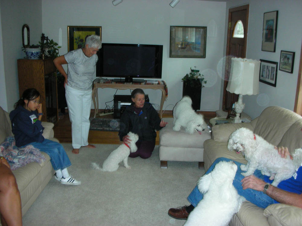 miranda stef and thelma