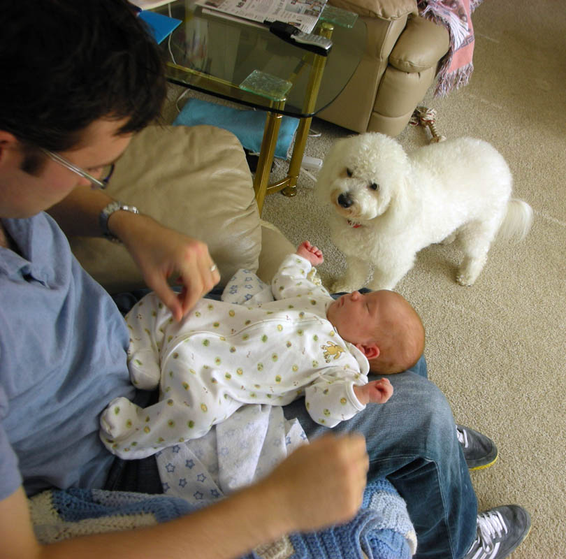 andrew and madeline and alfie at stefs