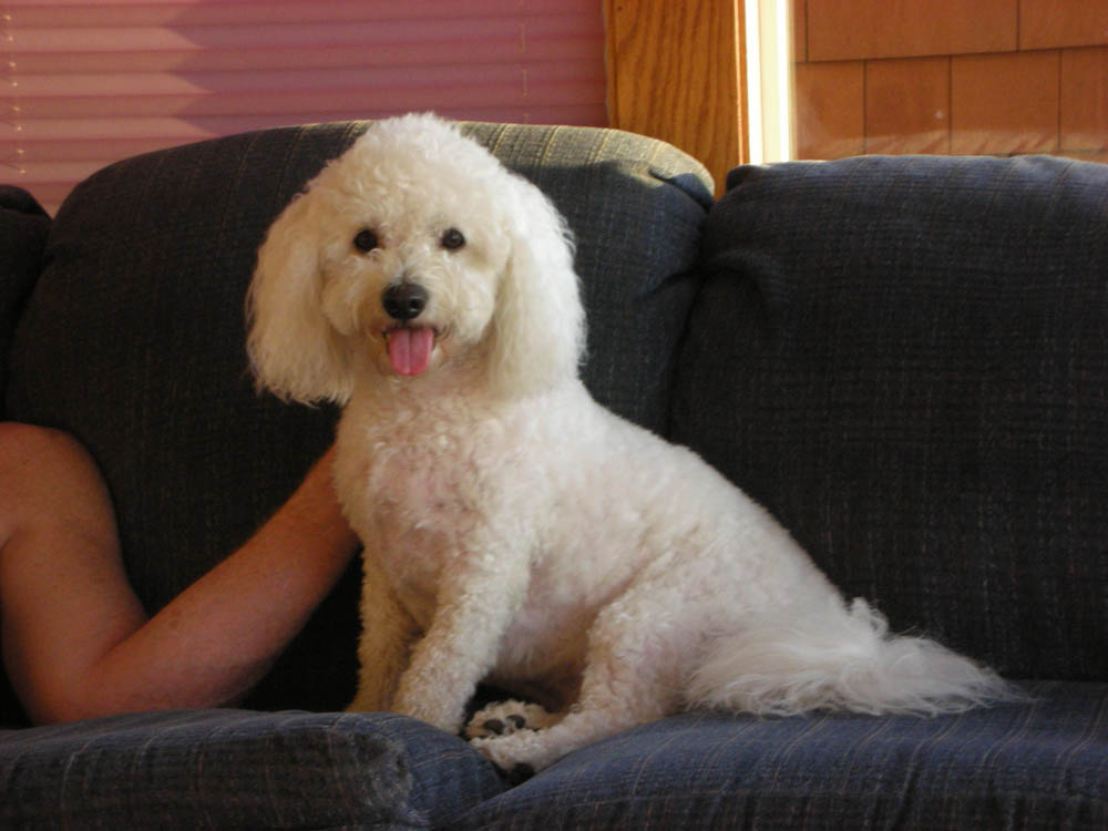 aug_alfie at neskowin