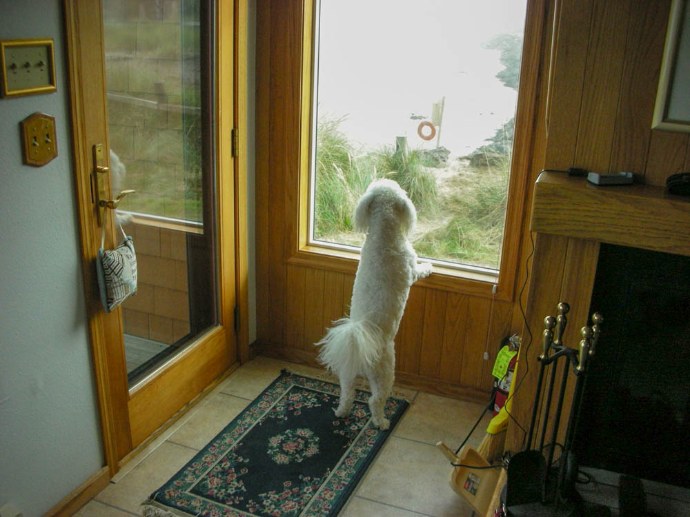 aug_alfie at neskowin