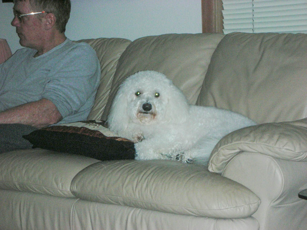 january_dennis and alfie