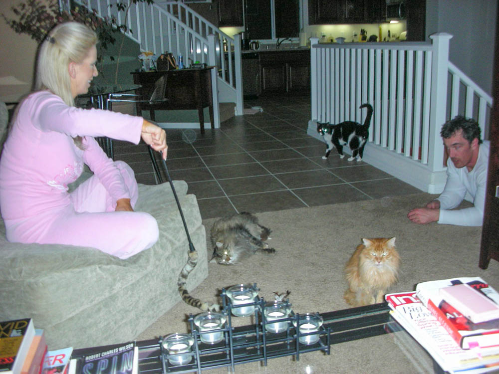 january_sandy tigger george bob and noah