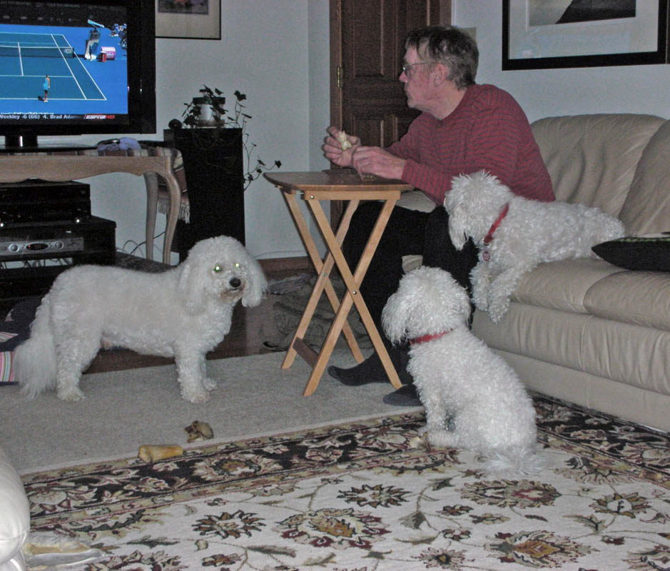 january_alfie dennis fuzzy and rose