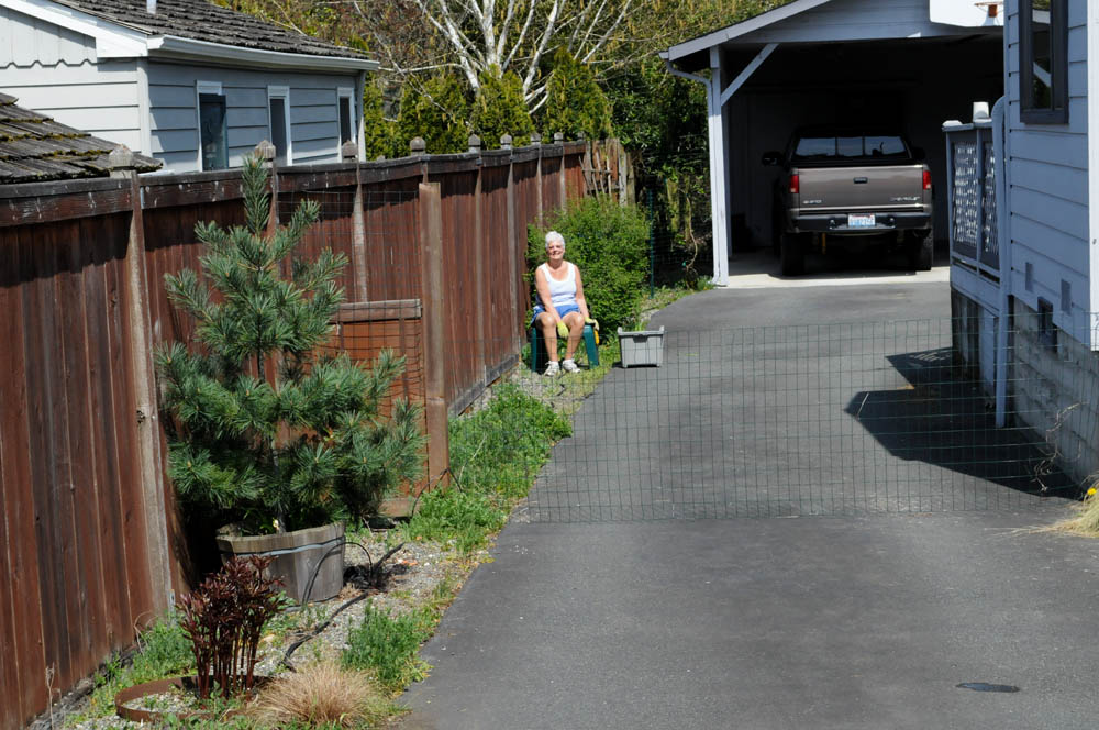april_stef and alfie fence