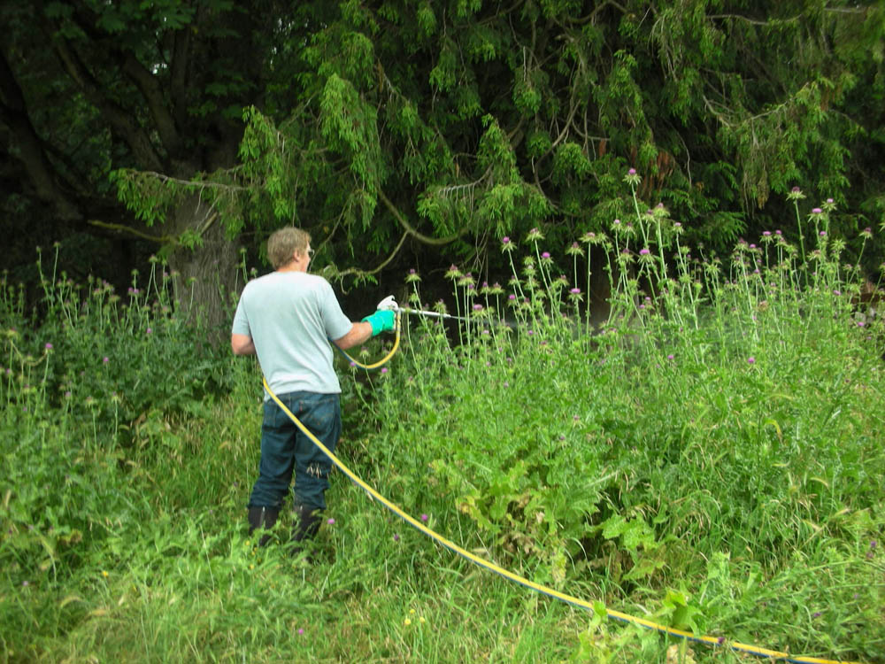 july_dennis at work weed job