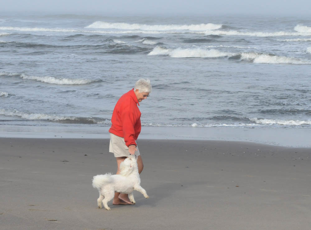 july_stef and alfie in neskowin
