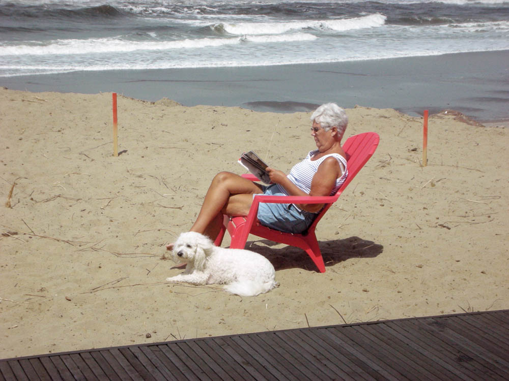 july_alfie and stef in neskowin