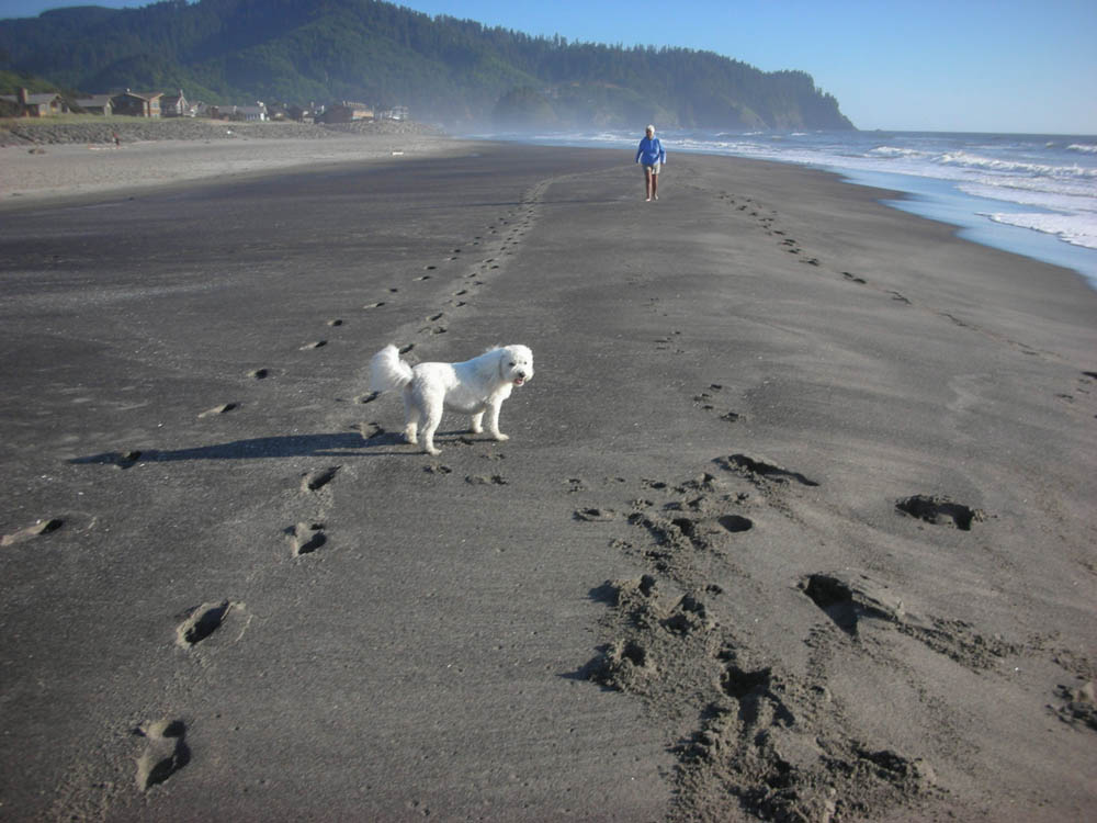 july_alfie and stef in neskowin