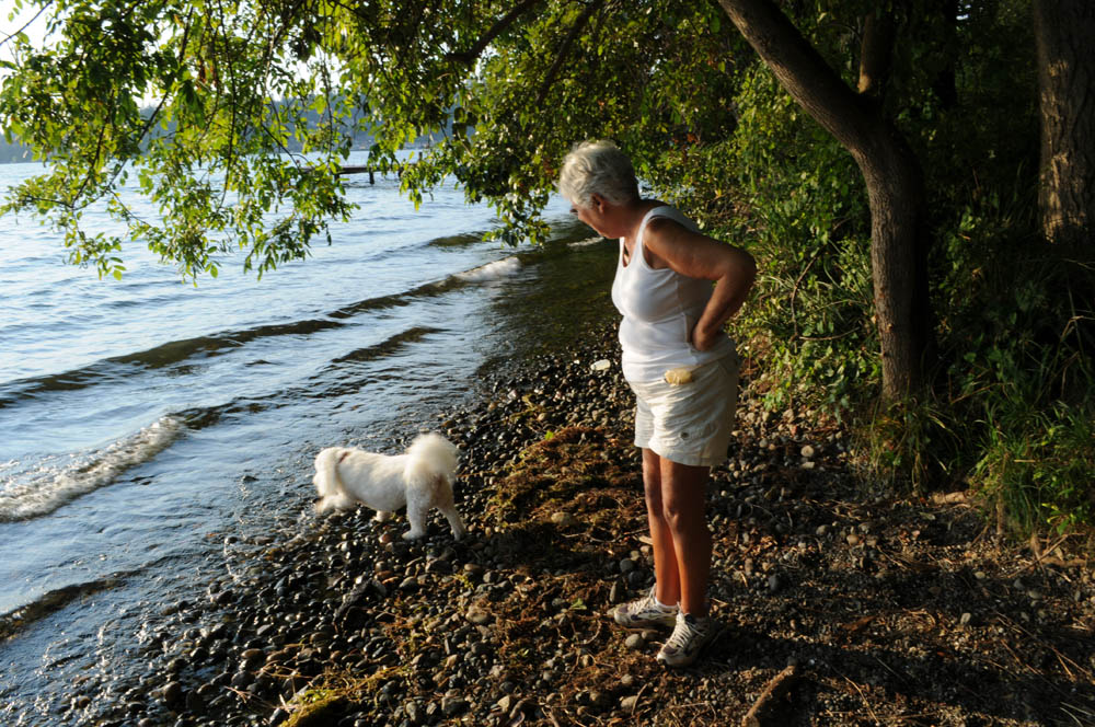 august_alfie and stef lake washington kirkland