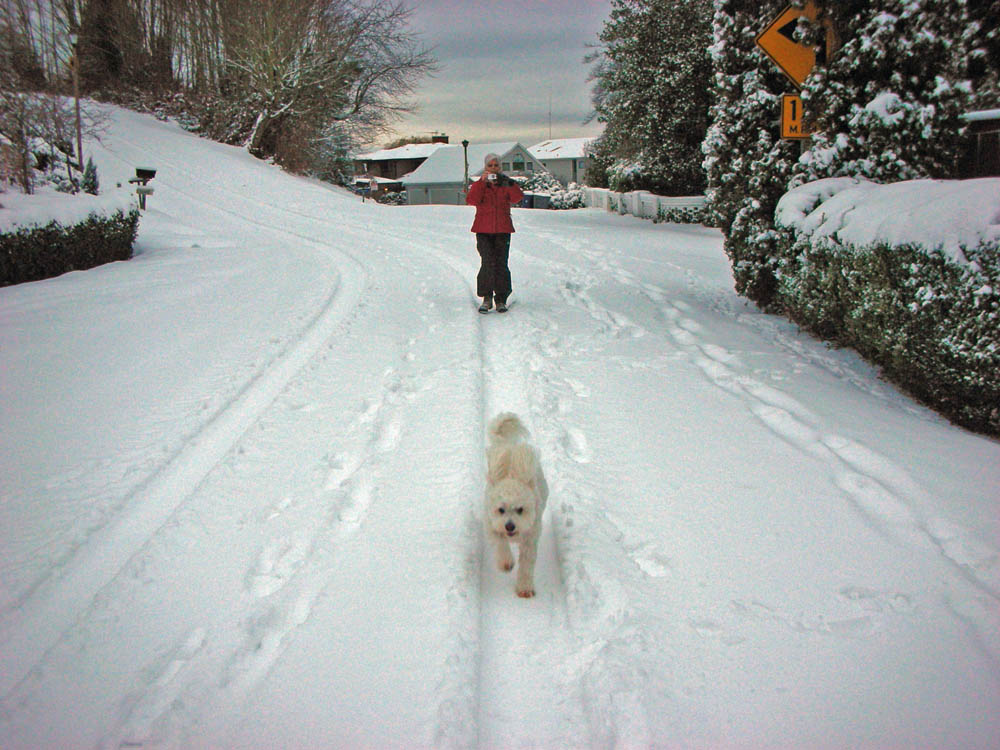 december_alfie and stef