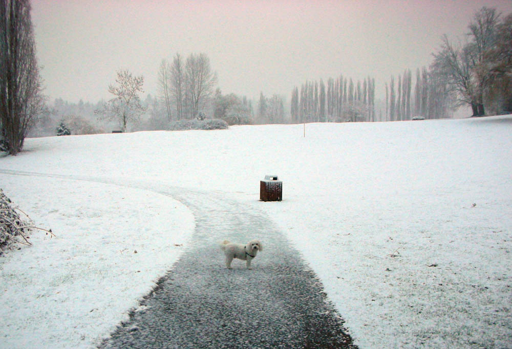 february_alfie at juanita park
