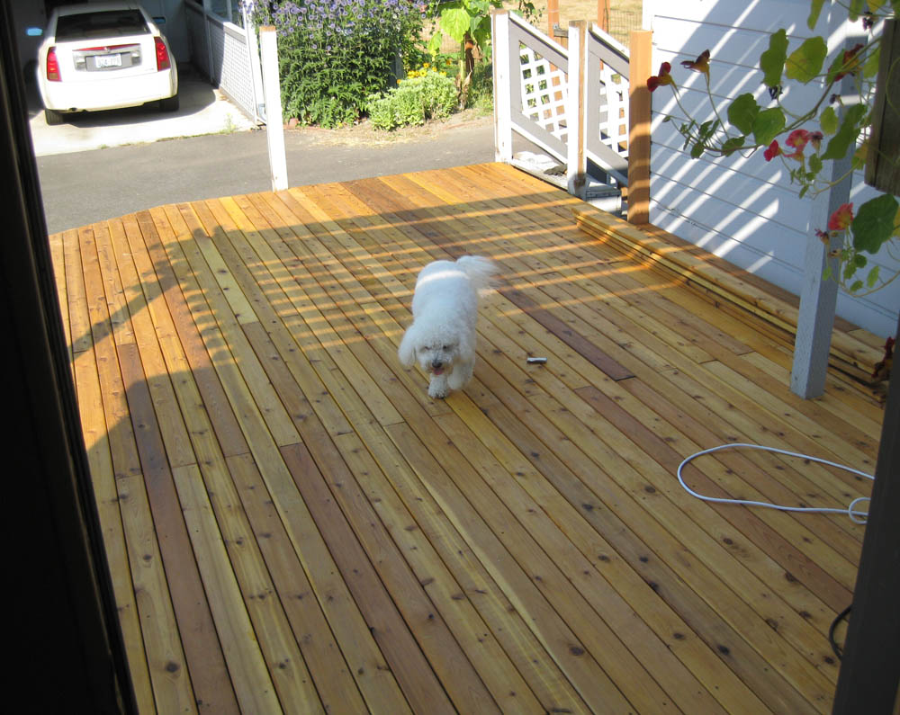 august_alfie new deck