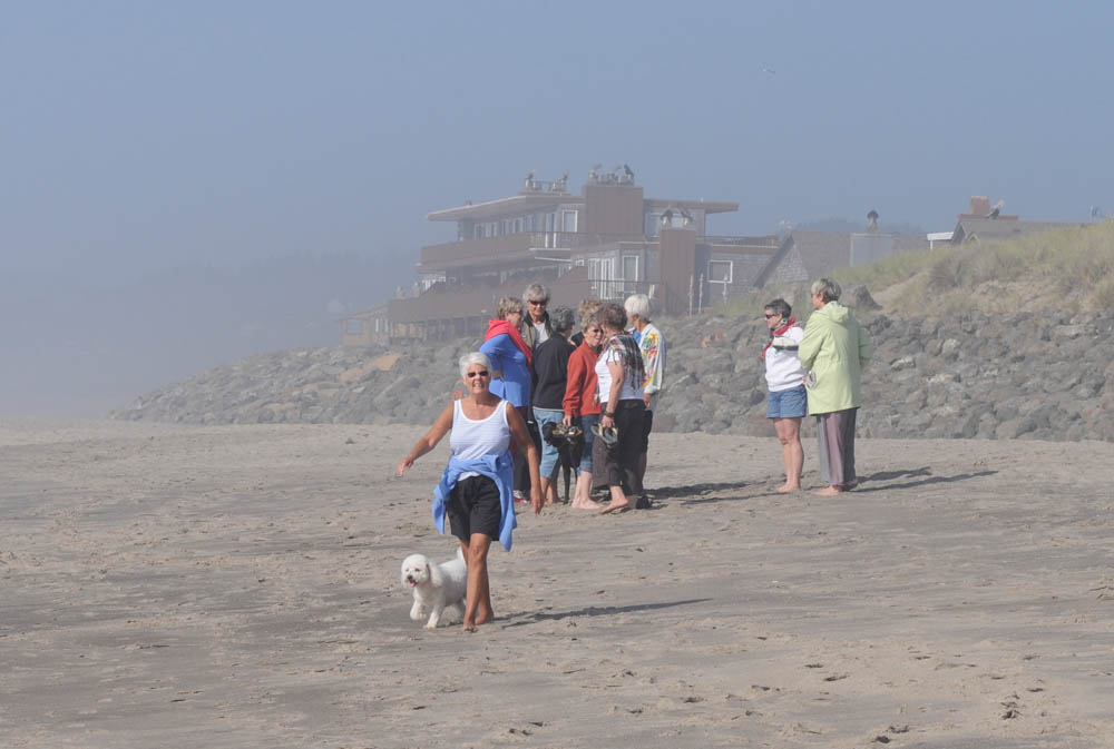 august_alfie and stef in neskowin