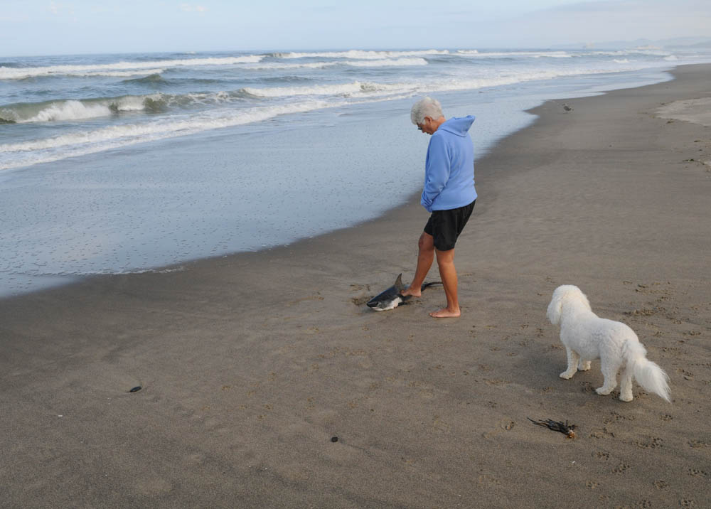 september_stef and alfie in neskowin