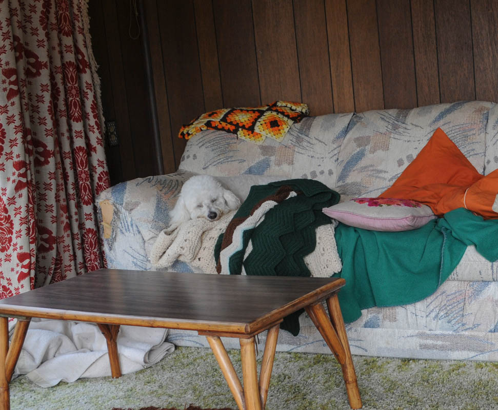 october_alfie at addy