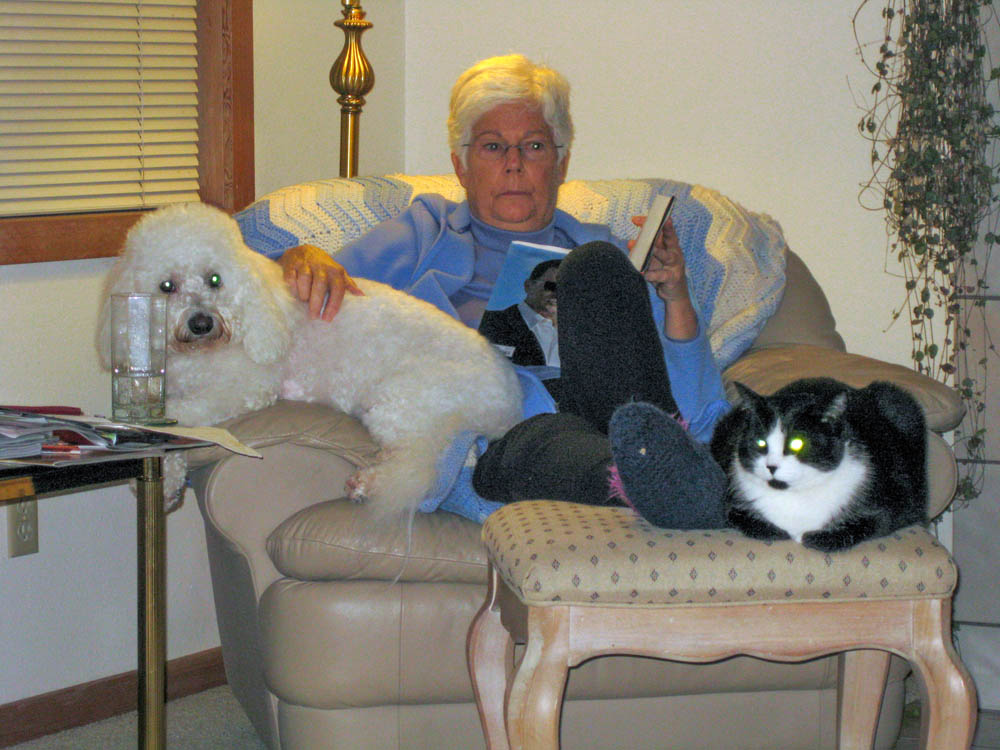 november_alfie stef and bitsy at stefs