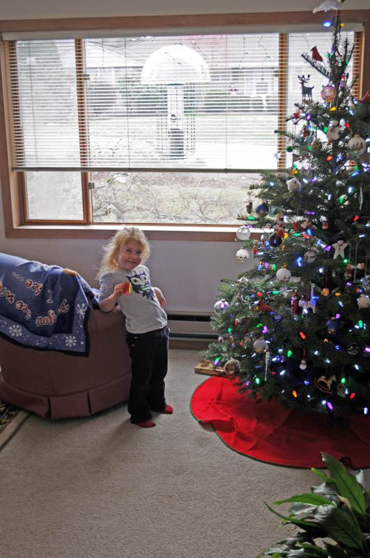 december_maddy and tree