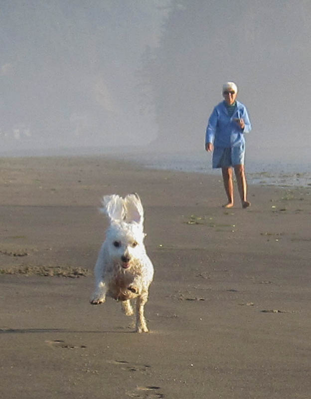 august_alfie and stef neskowin