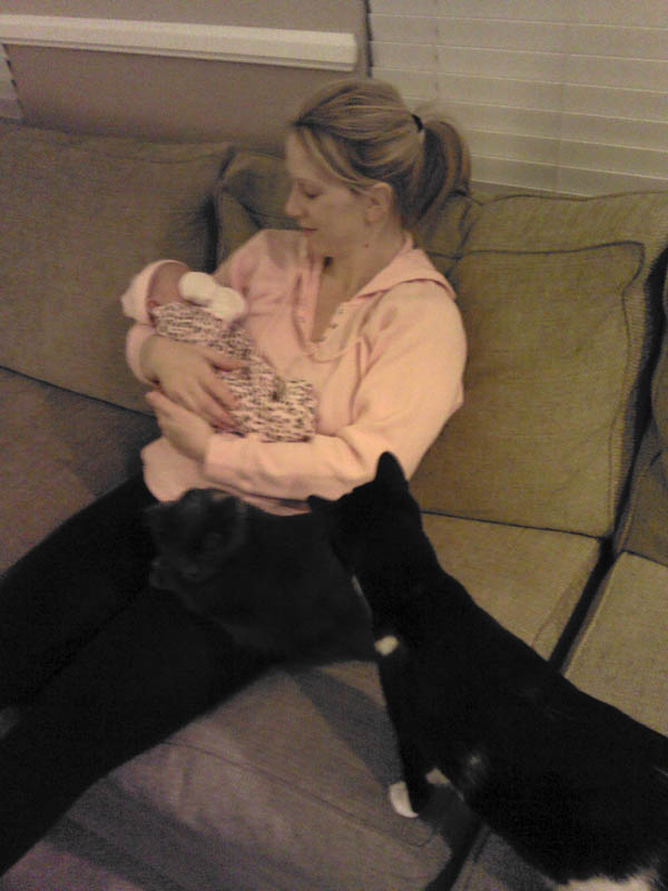 november_sandy amanda and george