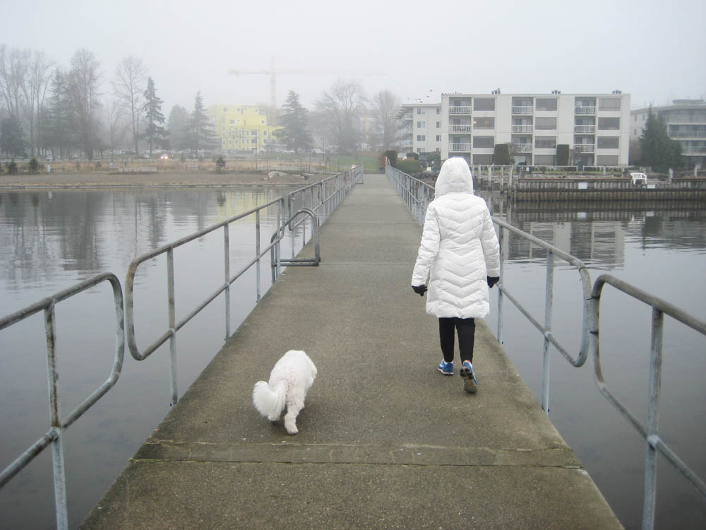 january_alfie and stef at juanita beach