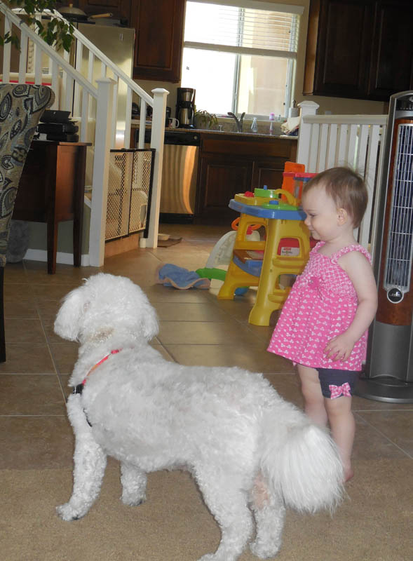 may_alfie and mandy_vegas trip