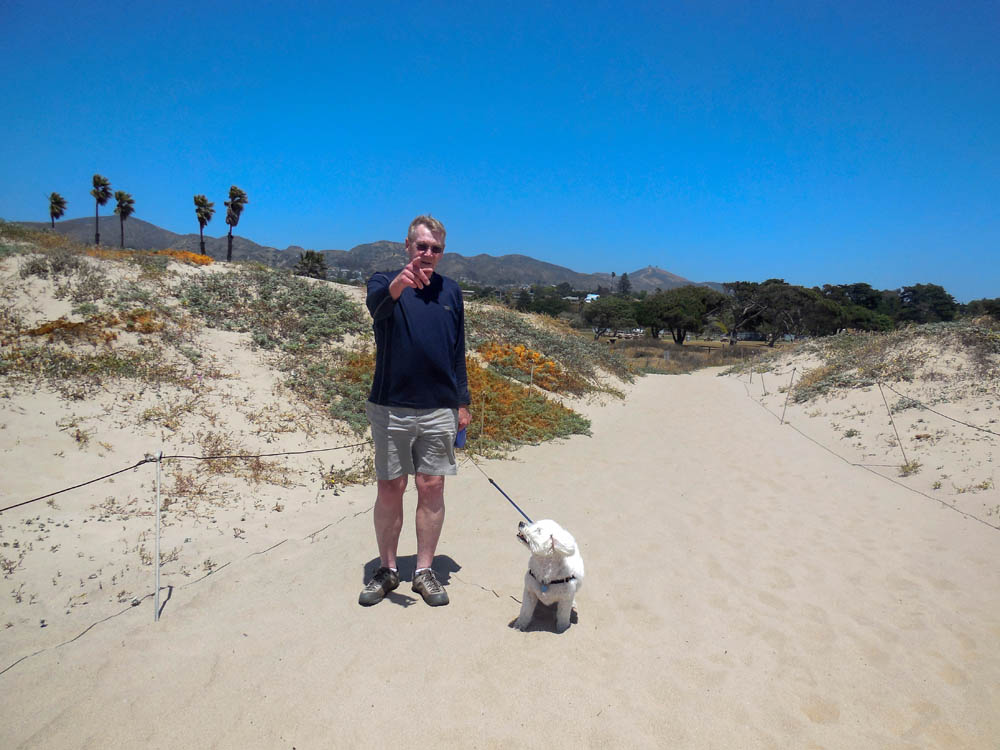 may_dennis and alfie (ventura) beach