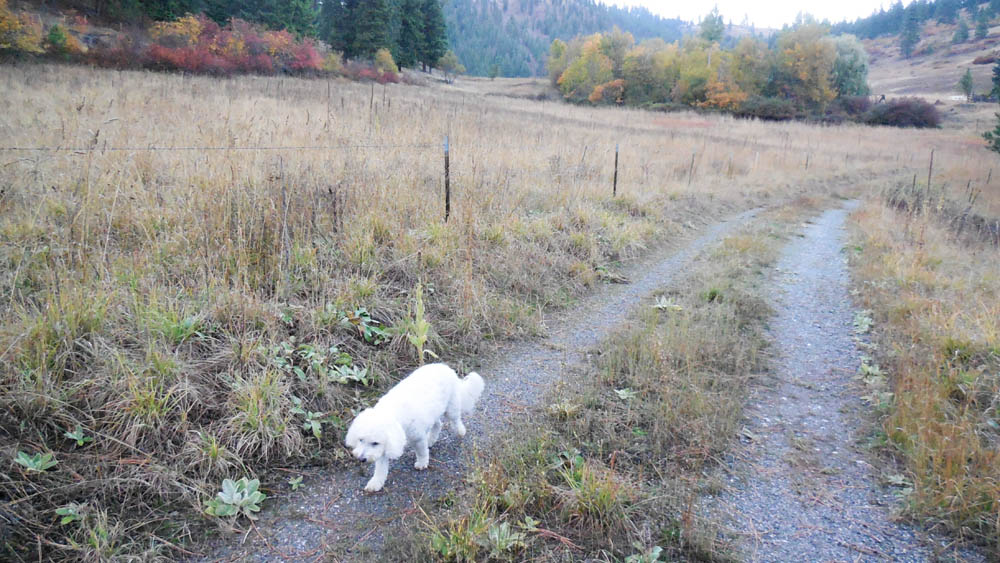 october_alfie at addy