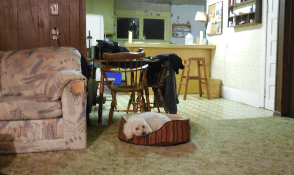 october_alfie at addy