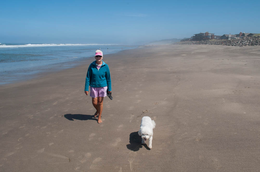 july_stef and alfie_neskowin